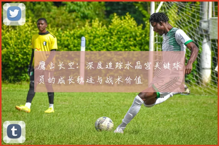 鹰击长空：深度追踪水晶宫关键球员的成长轨迹与战术价值