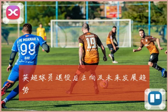 英超球员退役后去向及未来发展趋势